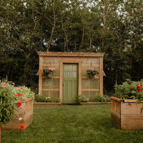 Petunia — Our #1 Most Loved Backyard Build