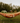 Adventure Hammock Meadow