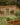 Garden Projects
