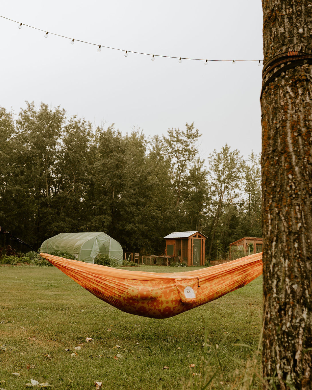 countryside hängematte Adventure Hammocks