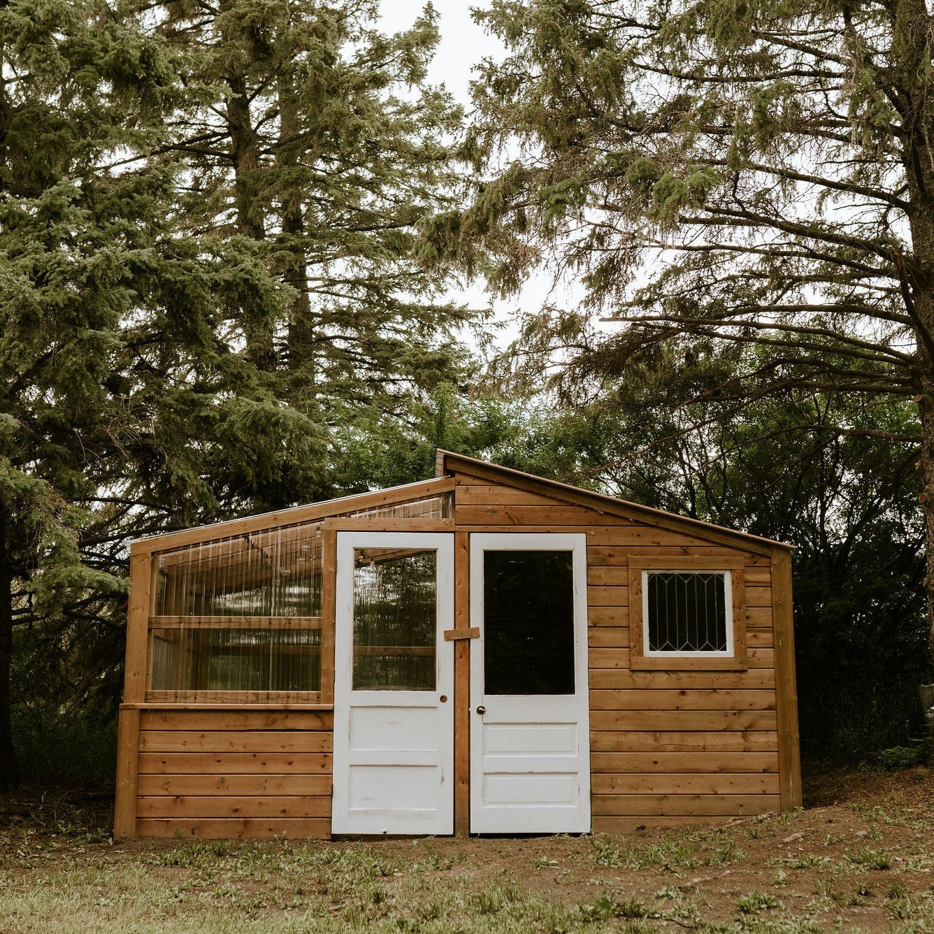 Rose — One Build Endless Purpose