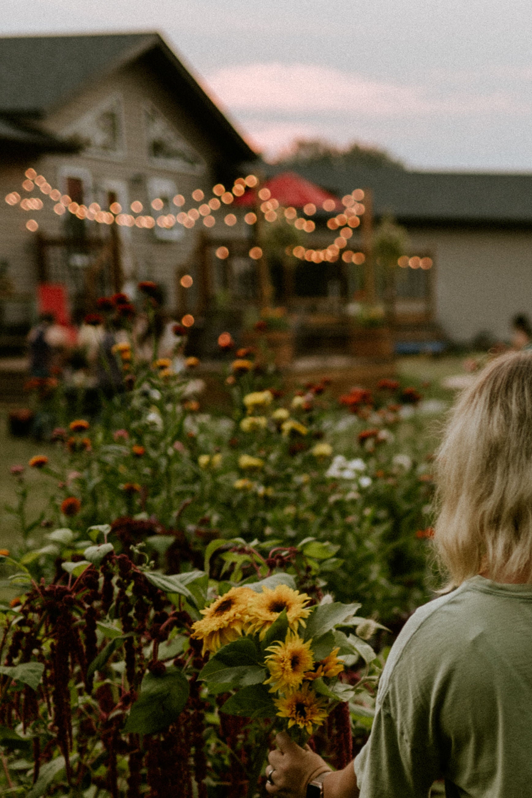 About Hillside Market TopRated Homestead Guides and Resources The