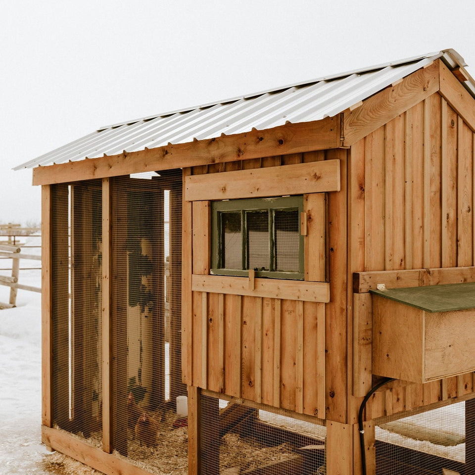 Marigold DIY Chicken Coop Hillside Market The Hillside Market