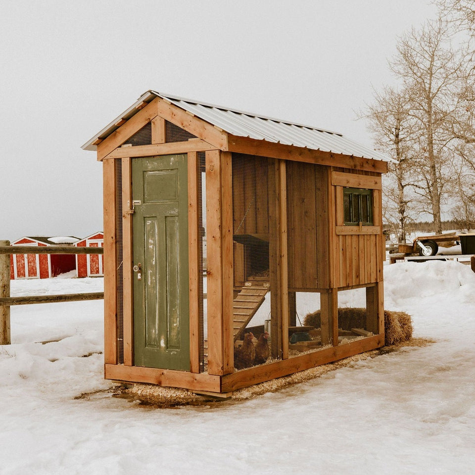 Marigold DIY Chicken Coop Hillside Market The Hillside Market