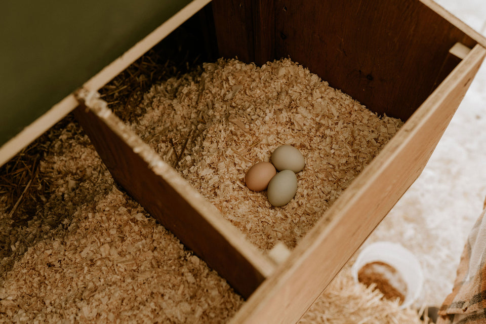 Marigold DIY Chicken Coop Hillside Market The Hillside Market