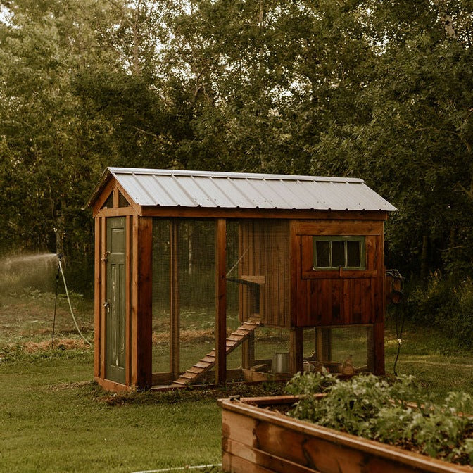 Marigold DIY Chicken Coop Hillside Market The Hillside Market