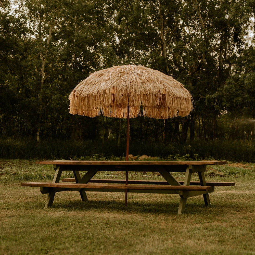 Olive — Built for Sunny Picnics