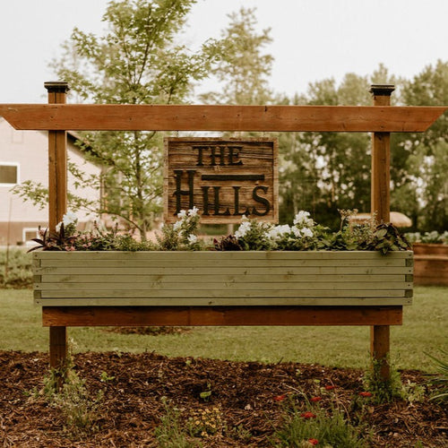 Ivy — For The Warmest Welcome Home