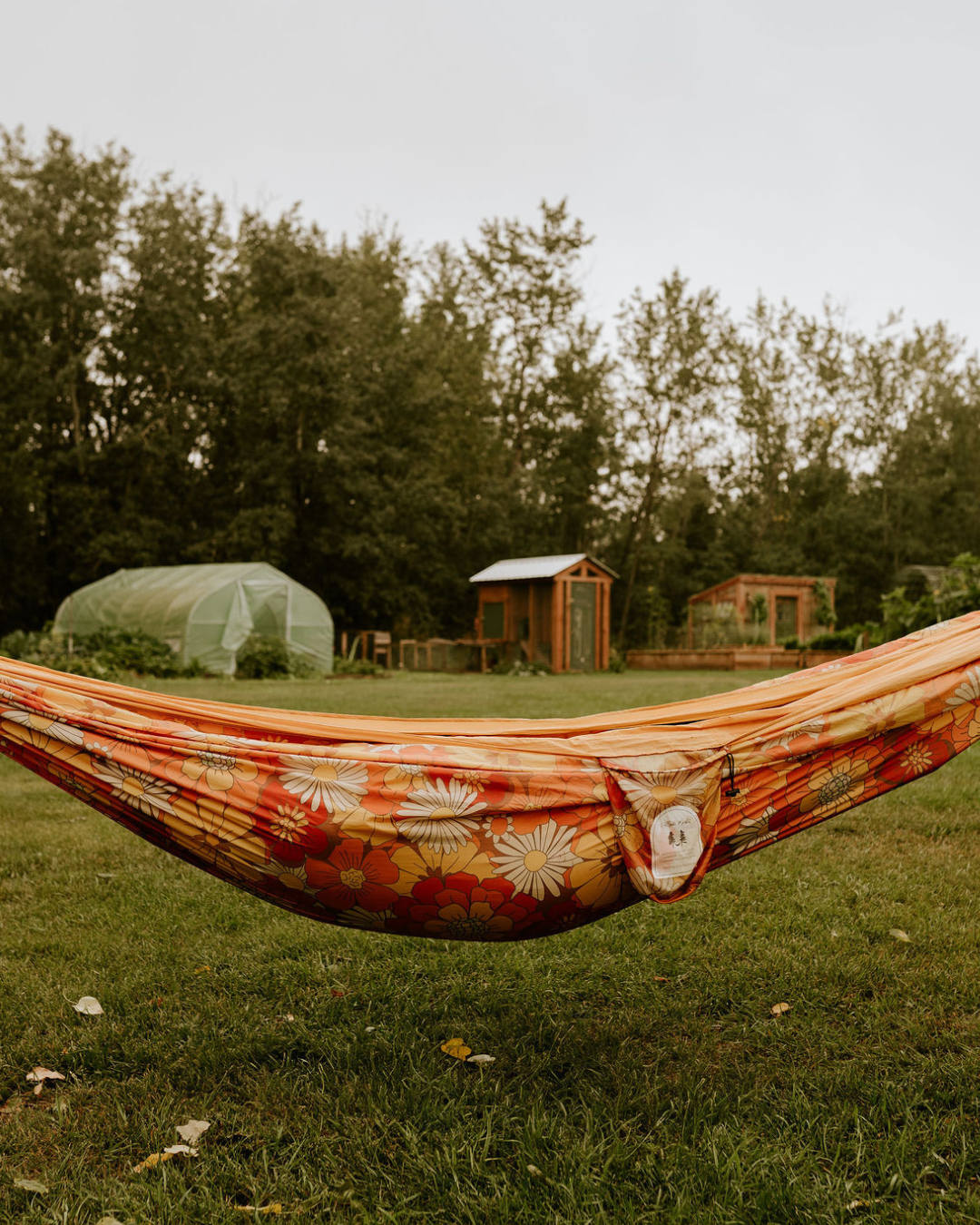 hängematte fun camp Adventure Hammocks