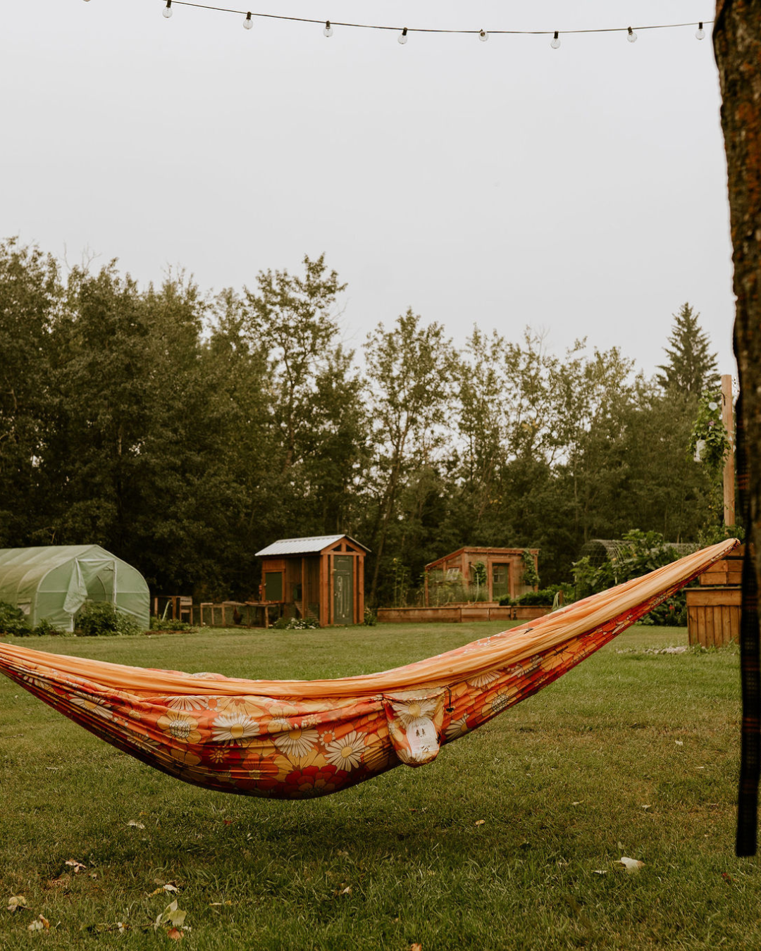 countryside hängematte Adventure Hammocks