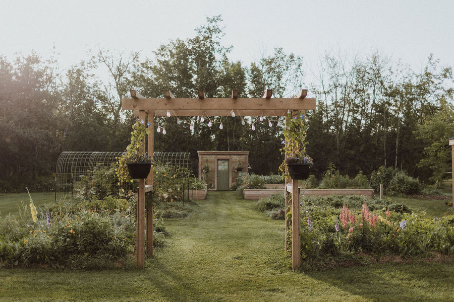 Wisteria Garden Arch