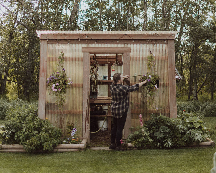 The Petunia Greenhouse