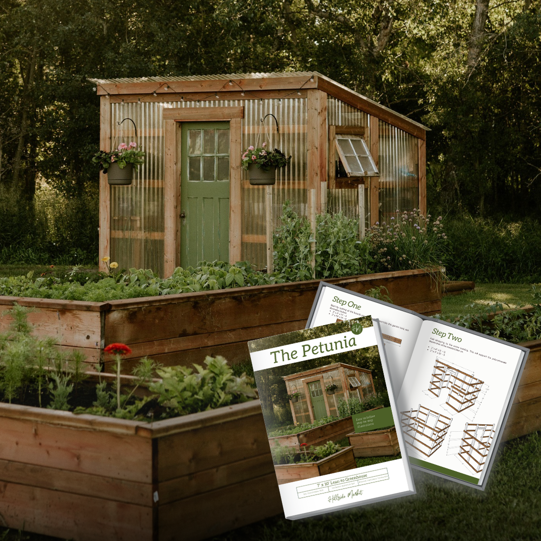 Petunia greenhouse and building plans