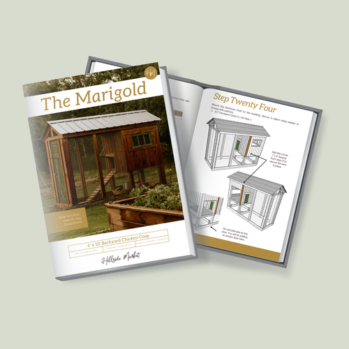 Marigold — A Beautiful Start to Backyard Eggs second image